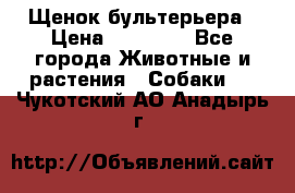 Щенок бультерьера › Цена ­ 35 000 - Все города Животные и растения » Собаки   . Чукотский АО,Анадырь г.